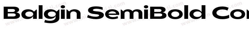 Balgin SemiBold Cond字体转换